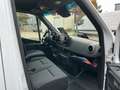 Mercedes-Benz Sprinter Sprinter 317 CDI HD Pro/Standhzg./Klima/Sitzhzg. Weiß - thumbnail 8