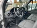 Mercedes-Benz Sprinter Sprinter 317 CDI HD Pro/Standhzg./Klima/Sitzhzg. Weiß - thumbnail 9