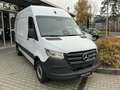 Mercedes-Benz Sprinter Sprinter 317 CDI HD Pro/Standhzg./Klima/Sitzhzg. Weiß - thumbnail 3