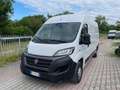 Fiat Ducato 35 3.0 CNG PLM-TM Furgone Wit - thumbnail 1