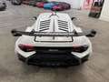 Lamborghini Huracán STO *SOLO 1500 KM*SOLLEVATORE*UNIPRO* Bianco - thumbnail 6