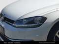 Volkswagen Golf VII Comfortline 1,0 TSI Weiß - thumbnail 11
