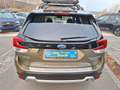 Subaru Forester 2.0ie Comfort , Hybrid,AHK "HUBERTUS" Grün - thumbnail 7