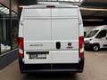 Fiat Ducato 2.3 D L2H2 3,3t KLIMA 3-SITZE PDC VERKLEI Weiß - thumbnail 7
