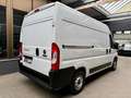 Fiat Ducato 2.3 D L2H2 3,3t KLIMA 3-SITZE PDC VERKLEI Weiß - thumbnail 10