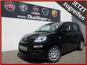 PANDINA HY 70 **SONDERPREIS**