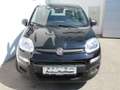 Fiat Panda PANDINA HY 70 **SONDERPREIS** Schwarz - thumbnail 4