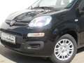 Fiat Panda PANDINA HY 70 **SONDERPREIS** Schwarz - thumbnail 3