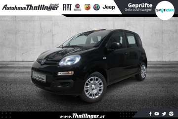 PANDINA HY 70 **SONDERPREIS**