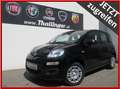 Fiat Panda PANDINA HY 70 **SONDERPREIS** Schwarz - thumbnail 1