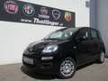 Fiat Panda PANDINA HY 70 **SONDERPREIS** Schwarz - thumbnail 1