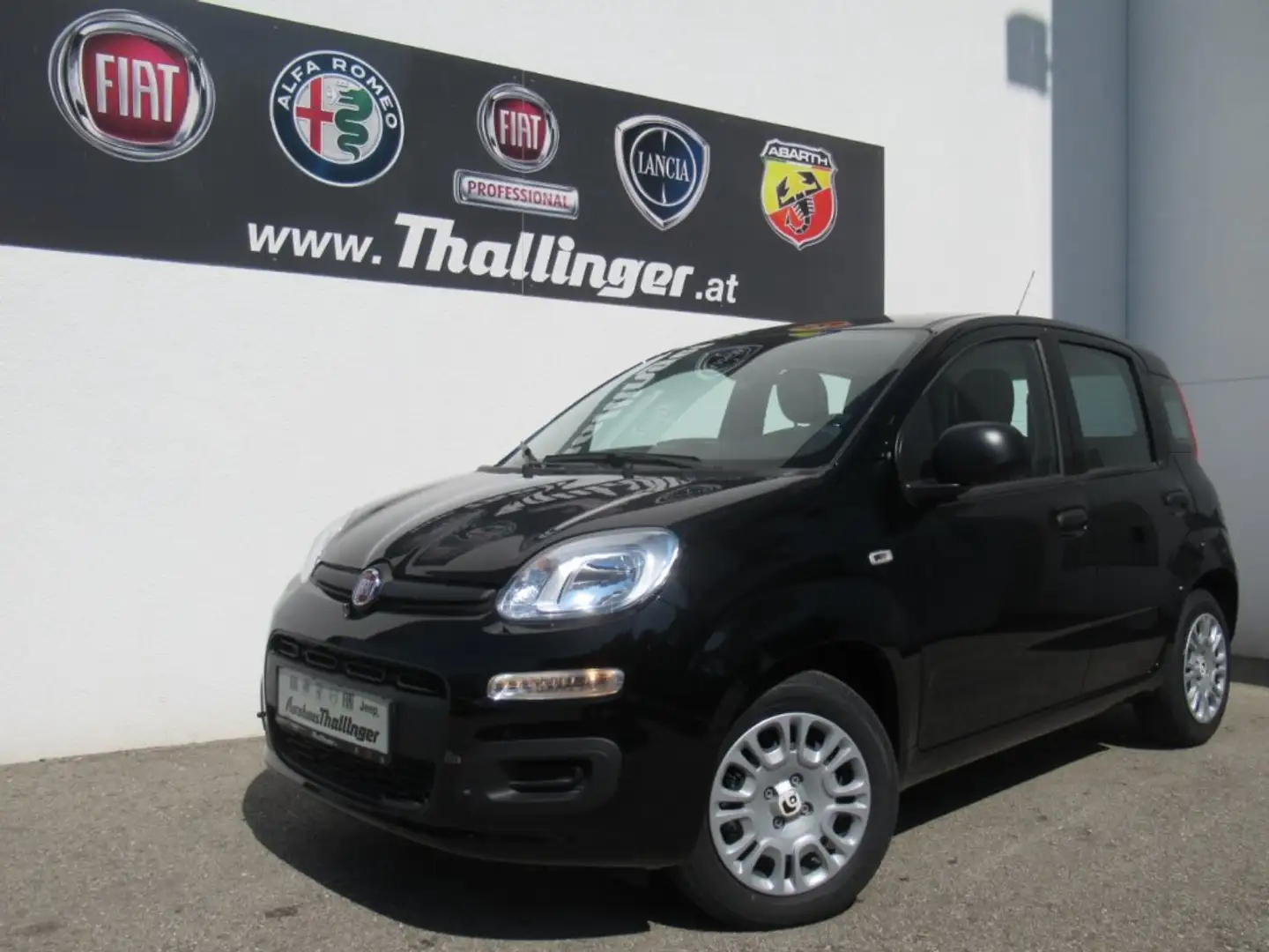 Fiat Panda PANDINA HY 70 **SONDERPREIS** Schwarz - 1