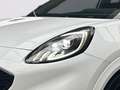 Ford Puma ST Sitzheizung, 360° Kamera, ACC Weiß - thumbnail 5