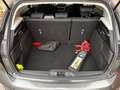 Ford Focus Focus 1.5 EcoBlue Start-Stopp-System Aut. TITANIUM - thumbnail 24