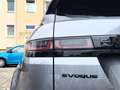 Land Rover Range Rover Evoque P250 R-Dynamic AWD PANO eAHK Gris - thumbnail 11