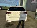 Skoda Octavia Combi Extra 1.5 TSI 150PS, 5 Jahre Garantie, 16... - thumbnail 21