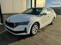 Skoda Octavia Combi Extra 1.5 TSI 150PS, 5 Jahre Garantie, 16... - thumbnail 24