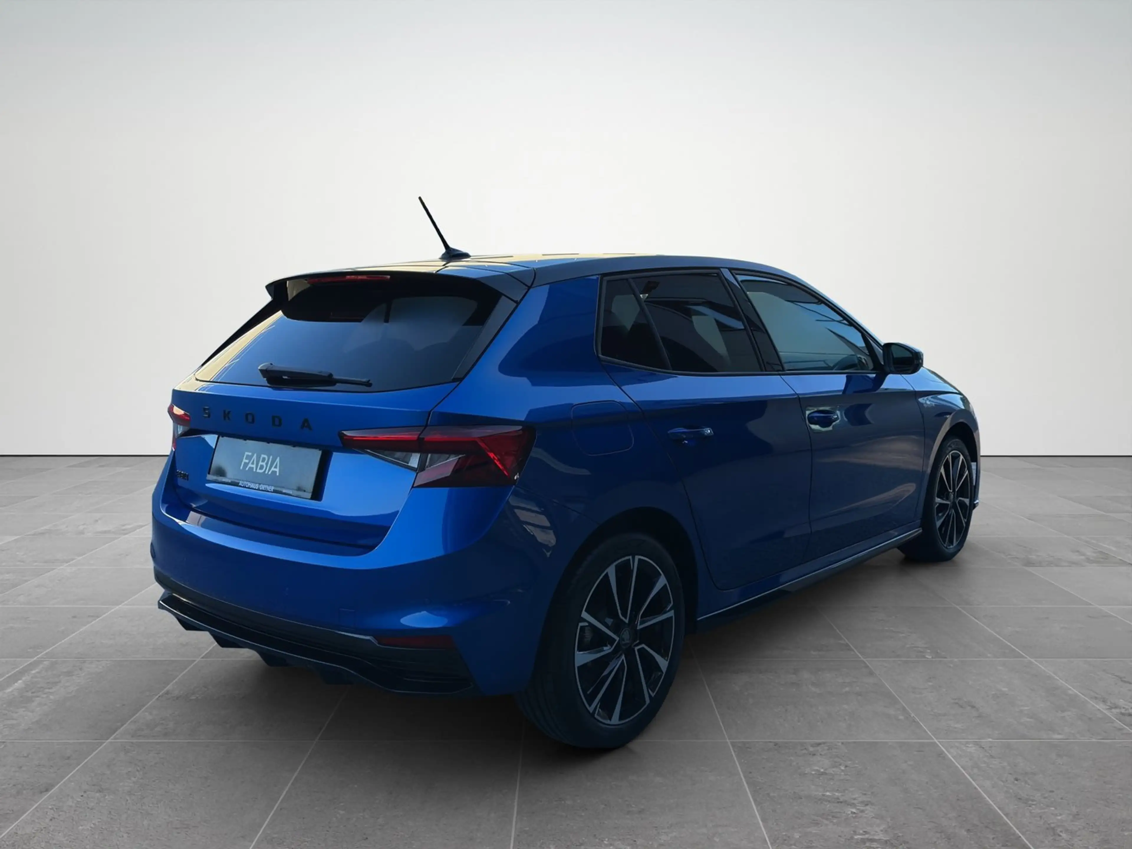 Skoda Fabia Monte Carlo TSI DSG — photo 6
