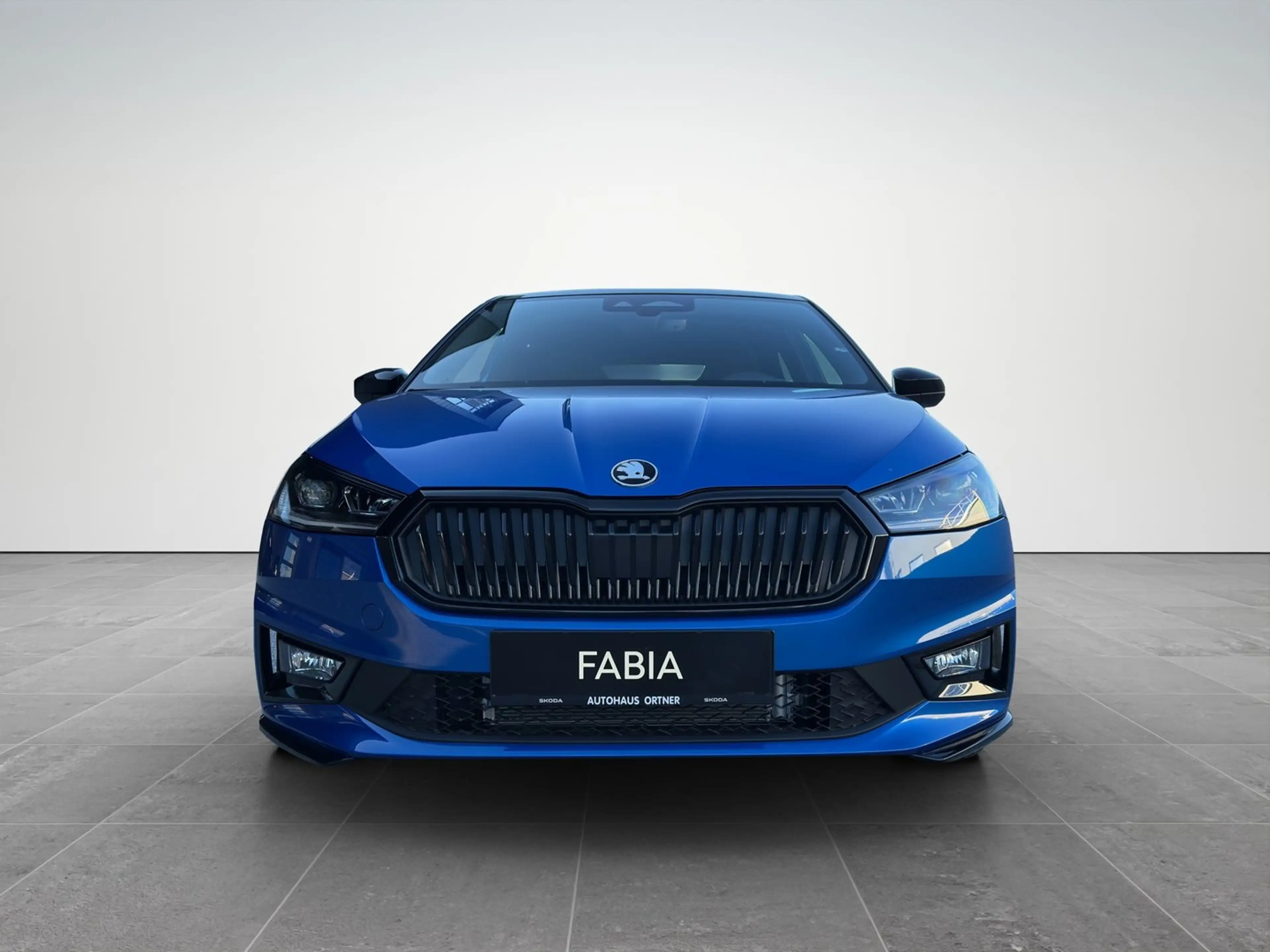 Skoda Fabia Monte Carlo TSI DSG — photo 2