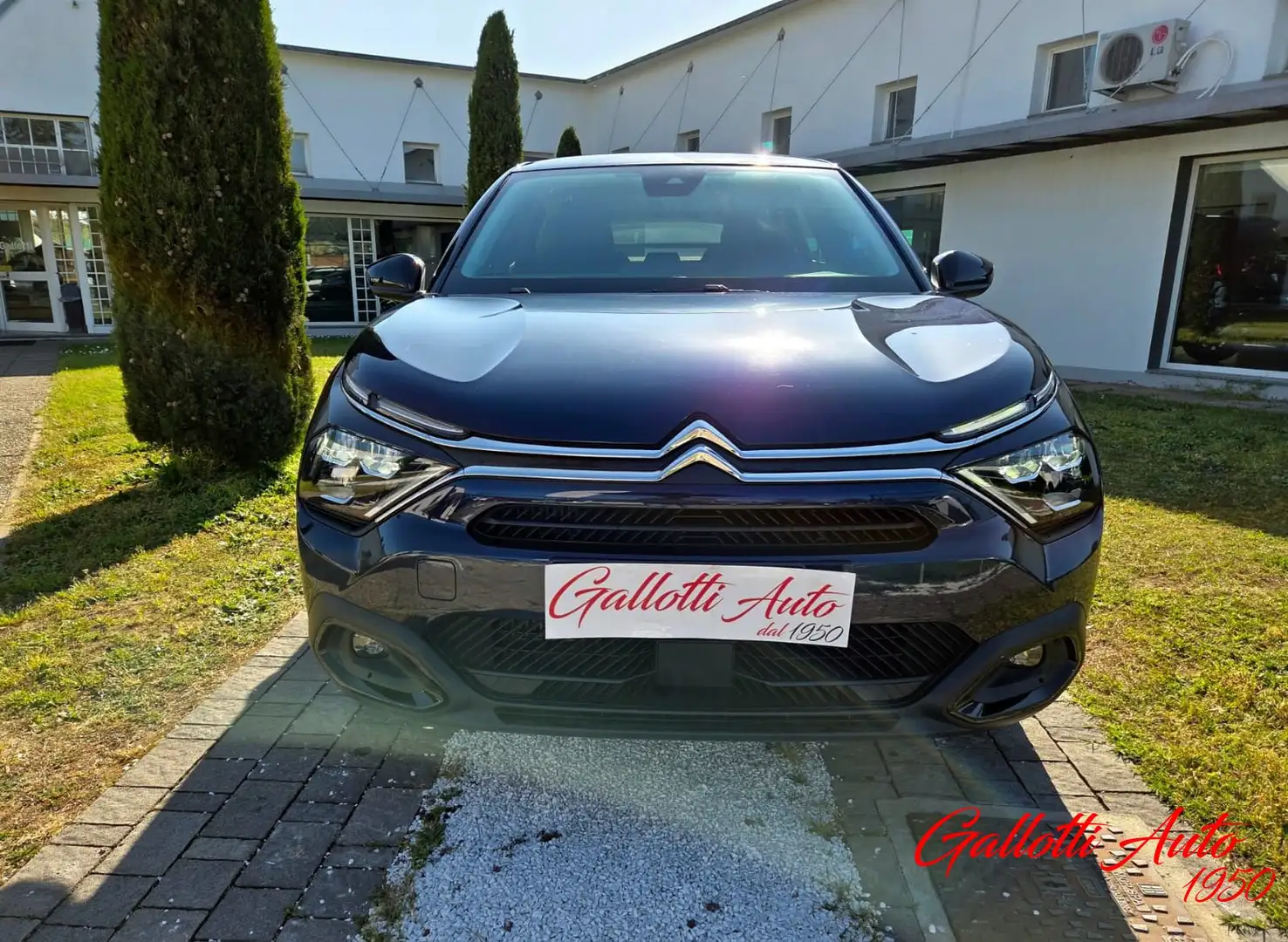 Citroen C4 PureTech 130 S&S Plus-NESSUN OBBL. FIN. Bleu - 2