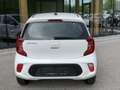 Kia Picanto 1,0 MPI Klima Sitzheizung Lenkradheizung Bluetooth Weiß - thumbnail 4