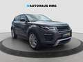 Land Rover Range Rover Evoque SE Dynamic *PANO*KAM*BI-XENON Grau - thumbnail 7