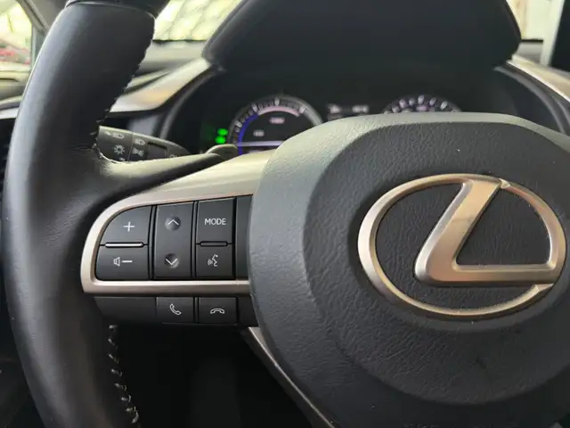Lexus RX view 10