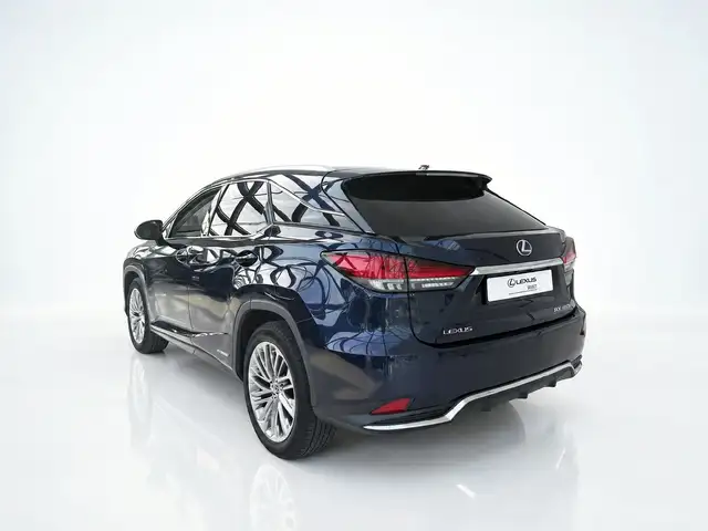 Lexus RX view 4