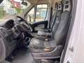 Fiat Ducato Hochr.-Kasten 33 130 L2H2 RS: 3450 mm, Weiß - thumbnail 15