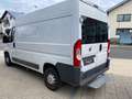Fiat Ducato Hochr.-Kasten 33 130 L2H2 RS: 3450 mm, Weiß - thumbnail 8