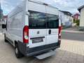 Fiat Ducato Hochr.-Kasten 33 130 L2H2 RS: 3450 mm, Weiß - thumbnail 10