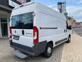 Fiat Ducato Hochr.-Kasten 33 130 L2H2 RS: 3450 mm, Weiß - thumbnail 11