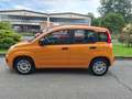 Fiat Panda Panda 1.3 mjt 16v Easy s Arancione - thumbnail 8