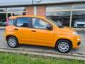 Fiat Panda Panda 1.3 mjt 16v Easy s Naranja - thumbnail 4