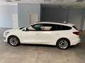 Ford Focus 1.5 EcoBlue 120 CV automatico SW Active Style Blanc - thumbnail 2