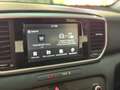 Kia Sportage 1.6 CRDI*IVA ESPOSTA*3 ANNI GARANZIA KIA Rosso - thumbnail 20