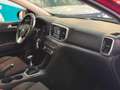 Kia Sportage 1.6 CRDI*IVA ESPOSTA*3 ANNI GARANZIA KIA Rosso - thumbnail 22