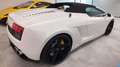 Lamborghini Gallardo LP-560-4 1 Besitz Orig. Lack neues Service Weiß - thumbnail 19