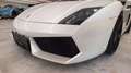 Lamborghini Gallardo LP-560-4 1 Besitz Orig. Lack neues Service Weiß - thumbnail 6