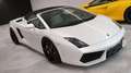 Lamborghini Gallardo LP-560-4 1 Besitz Orig. Lack neues Service Weiß - thumbnail 48