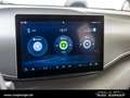 BYD Dolphin SURF Boost *Cam*Navi*Keyless*11kW*PDC* Bleu - thumbnail 14
