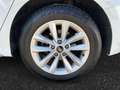 Audi A3 35 TFSI VIRTUAL/LED/SITZHZ Bianco - thumbnail 15