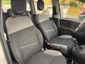 Fiat Panda 1.0 FireFly S&S Hybrid prezzo REALE Grigio - thumbnail 12