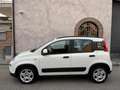 Fiat Panda 1.0 FireFly S&S Hybrid prezzo REALE Grigio - thumbnail 5
