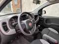 Fiat Panda 1.0 FireFly S&S Hybrid prezzo REALE Grigio - thumbnail 10