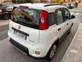 Fiat Panda 1.0 FireFly S&S Hybrid prezzo REALE Grigio - thumbnail 4