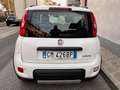 Fiat Panda 1.0 FireFly S&S Hybrid prezzo REALE Gris - thumbnail 6