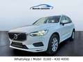 Volvo XC60 XC60 Momentum AWD LED Weiß - thumbnail 4