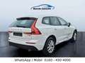 Volvo XC60 XC60 Momentum AWD LED Weiß - thumbnail 10