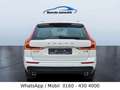 Volvo XC60 XC60 Momentum AWD LED Weiß - thumbnail 9